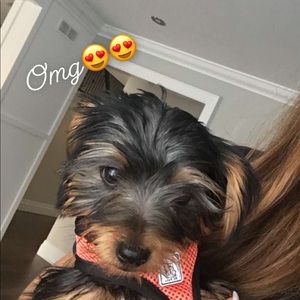 Meet your Posher, Aleks